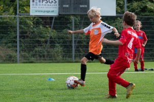 U9_Bad Sauerbrunn_20082024_019